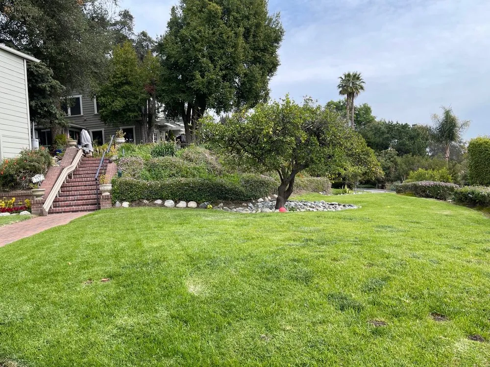 Custom lawn care service in Covina, CA - Guerrero Ruiz Gardening and Tree Service