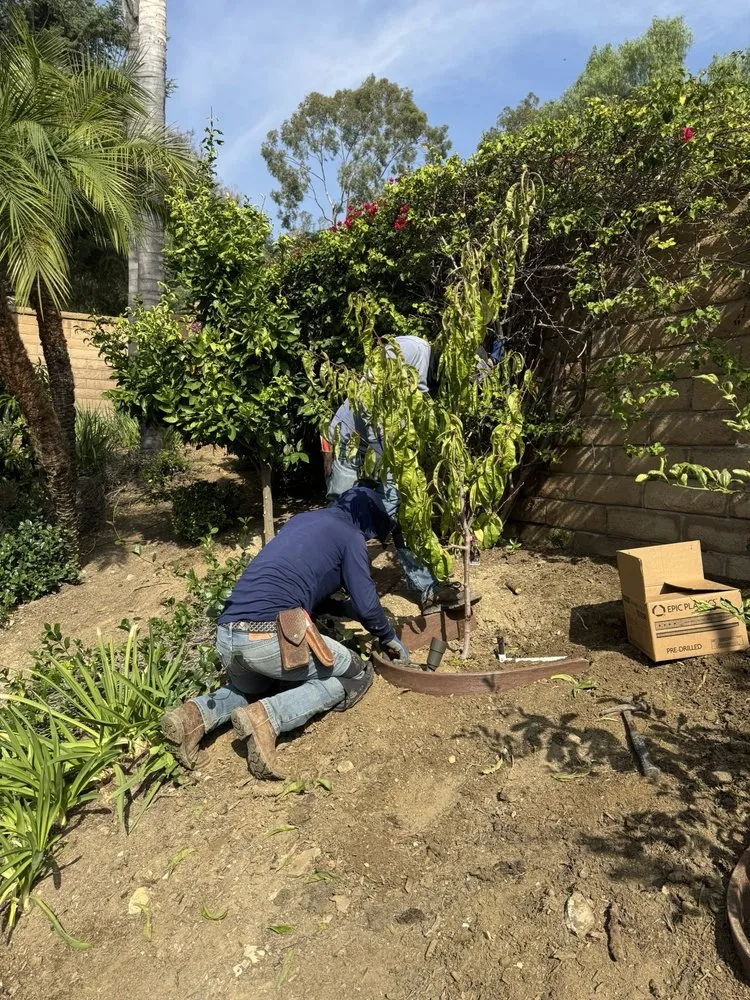 Local lawn mowing service for residential properties across Covina, CA - Guerrero Ruiz Gardening and Tree Service