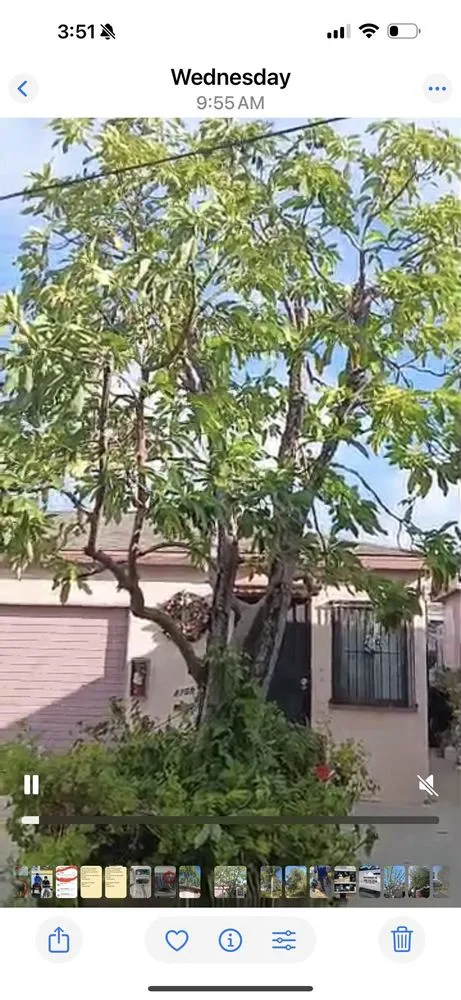 Affordable outdoor landscaping in Covina, CA by Guerrero Ruiz Gardening and Tree Service