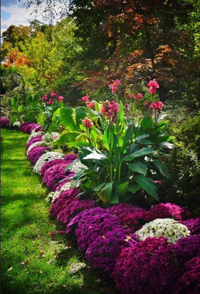 Local residential landscaping in Dallas, TX - Guerrero’s Landscaping