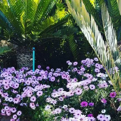 Guerrero’s Landscaping Logo