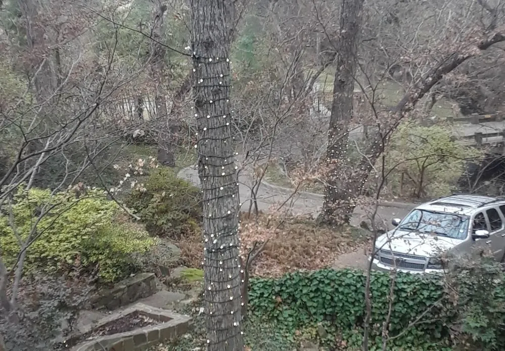 Reliable landscape installation for year-round maintenance across Dallas, TX - Guerrero's Lighting,Landscape and Irrigation