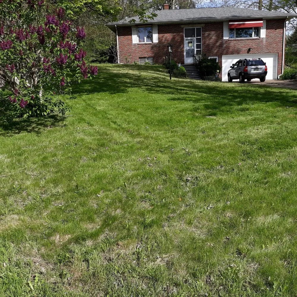 Expert yard maintenance for beautiful yards across Geneva, OH - Guerrilla Lawn Care
