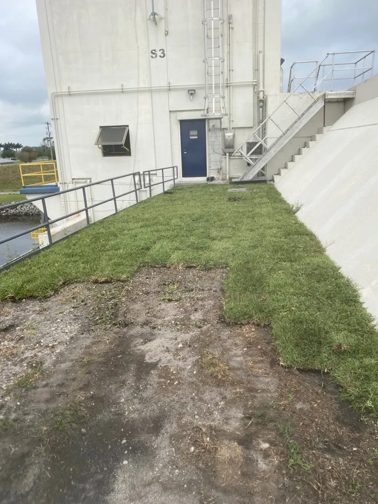 Top-rated landscape installation in Belle Glade, FL - Guerry Sod and Land Service