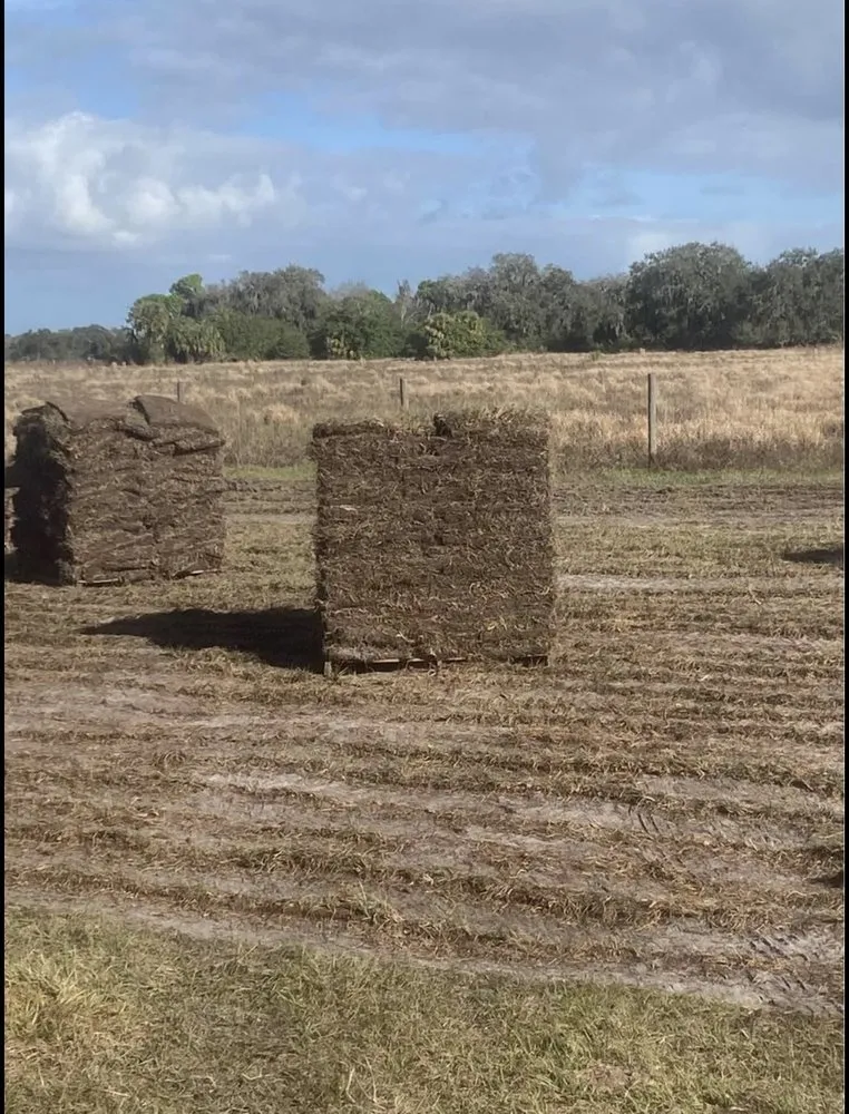 Trusted yard maintenance for residential properties across Belle Glade, FL - Guerry Sod and Land Service