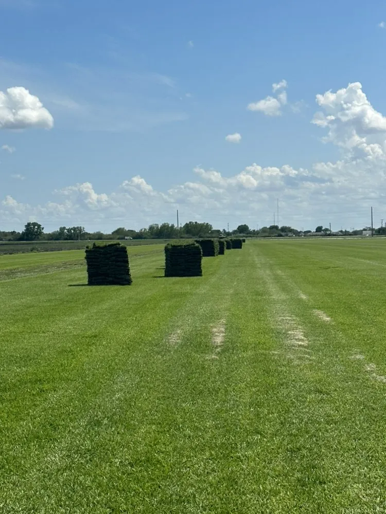 Expert lawn mowing service in Belle Glade, FL - Guerry Sod and Land Service