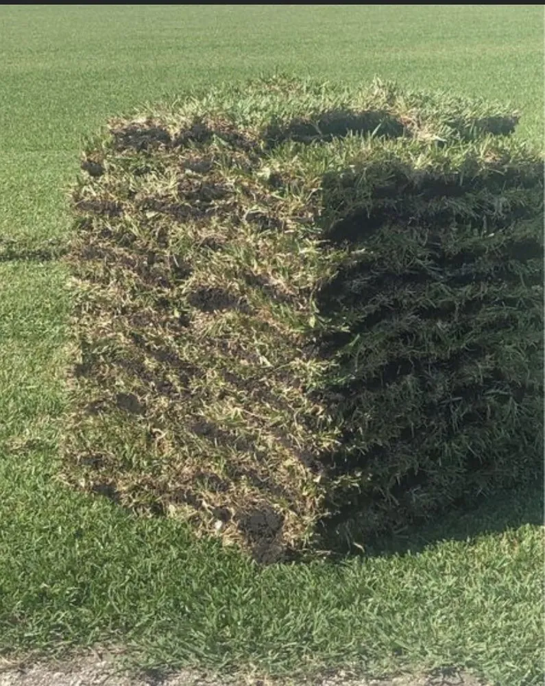 Expert landscaping services experts serving Belle Glade, FL - Guerry Sod and Land Service