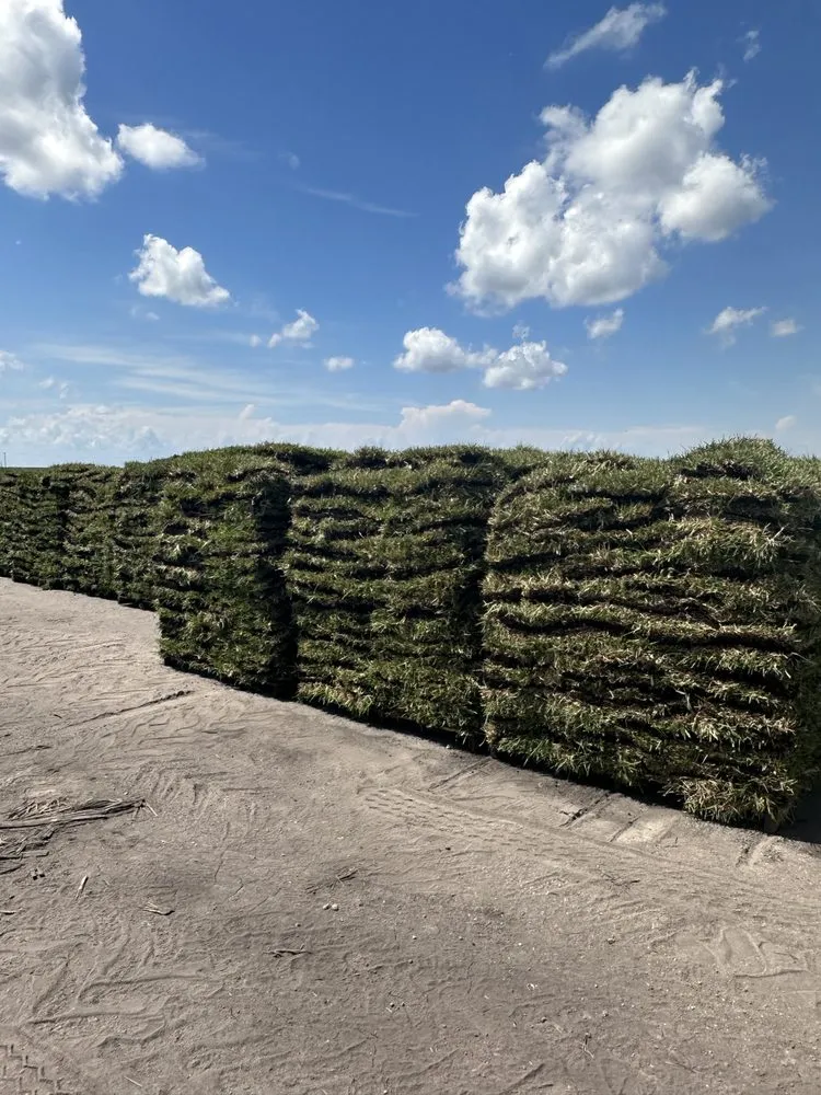 Expert outdoor landscaping for residential properties across Belle Glade, FL - Guerry Sod and Land Service