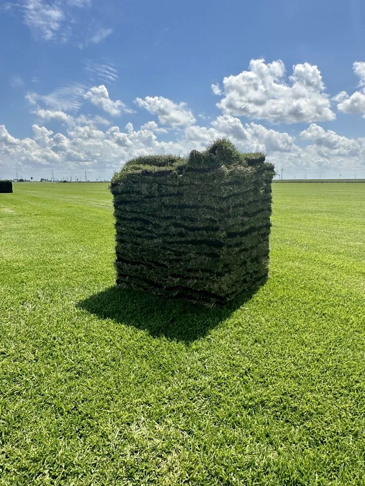 Professional yard cleanup service near you across Belle Glade, FL - Guerry Sod and Land Service