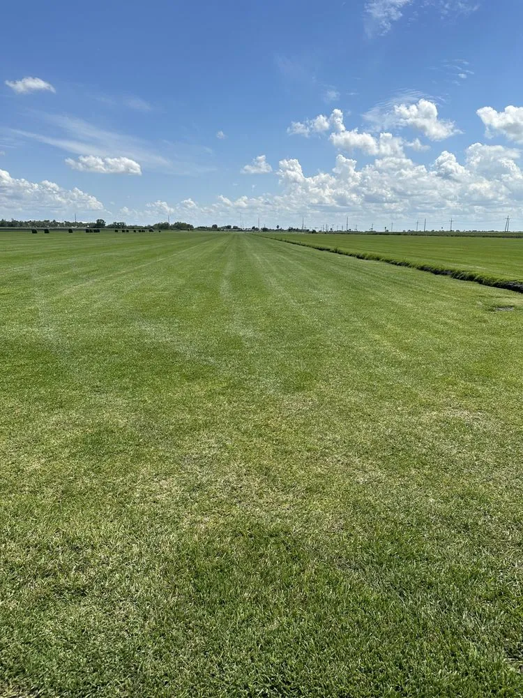 Trusted landscape design near you in Belle Glade, FL by Guerry Sod and Land Service