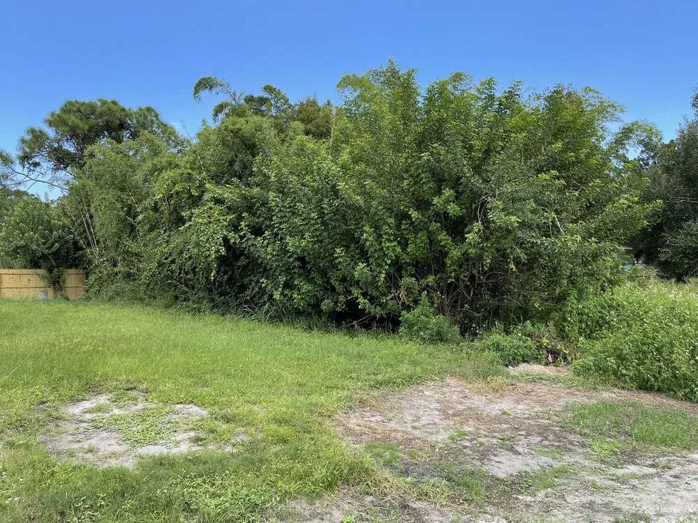 Trusted landscape design for beautiful yards across Sanford, FL - Guess Greens Outdoor Services