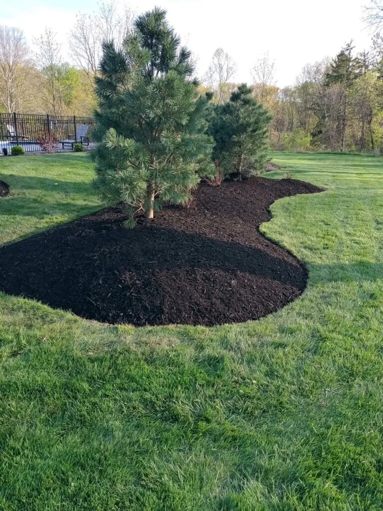 Trusted lawn mowing service experts serving Avon, OH - Guess That Price Landscaping