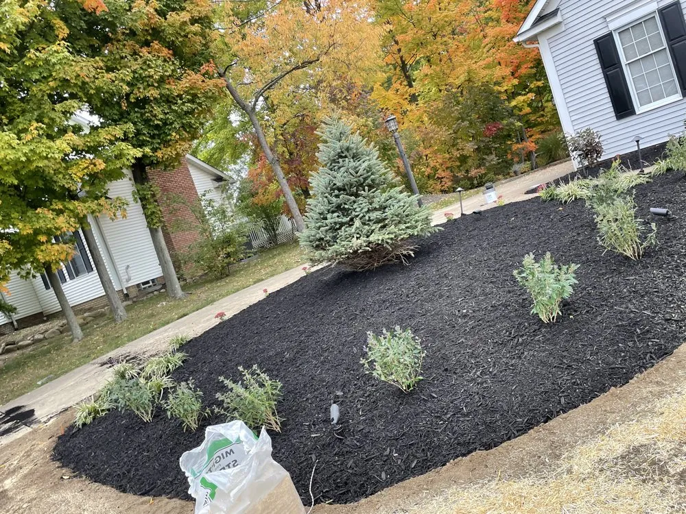 Expert yard maintenance in Avon, OH - Guess That Price Landscaping