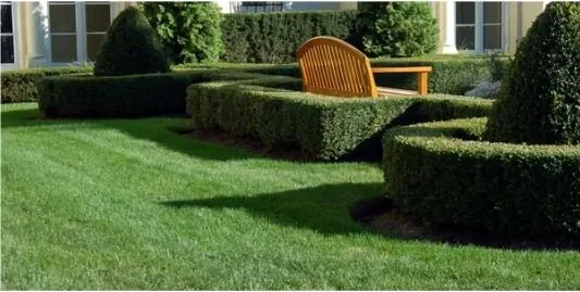 Professional garden landscaping in West Palm Beach, FL - Guest Ready Services