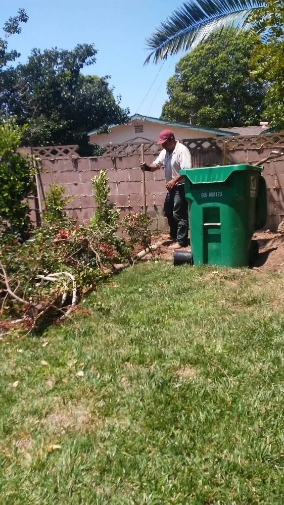 Professional lawn care service in Lompoc, CA - Guevara Garden Service