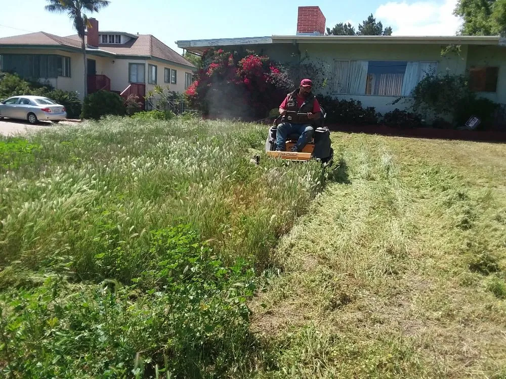 Affordable yard maintenance for residential properties in Lompoc, CA by Guevara Garden Service