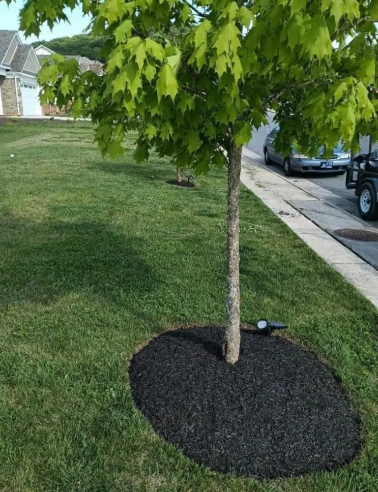 Trusted residential landscaping in Houston, TX by Guevara Landscaping