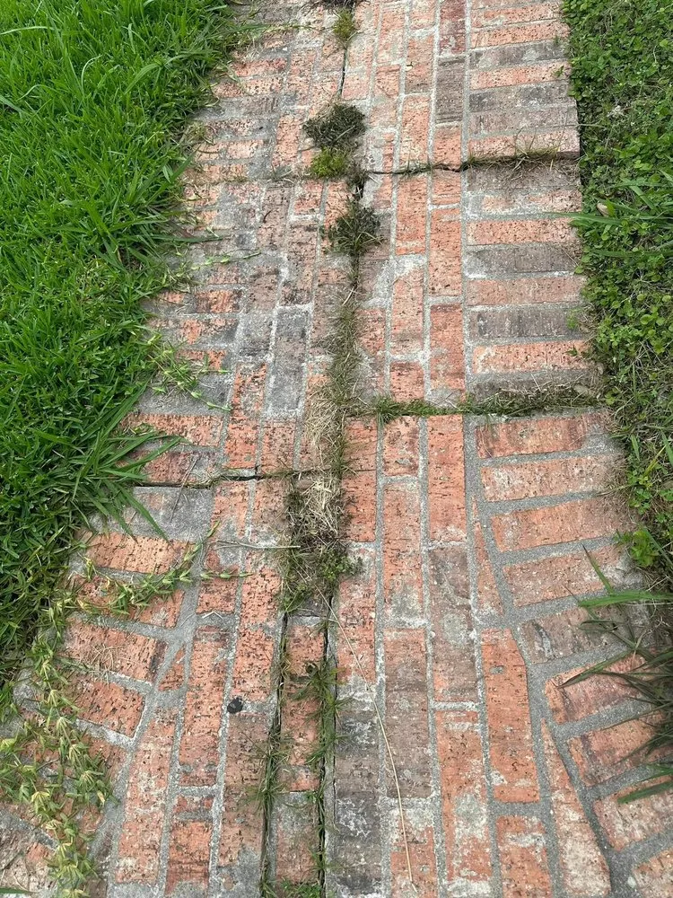 Top-rated lawn mowing service for beautiful yards across Houston, TX - Guevara Landscaping