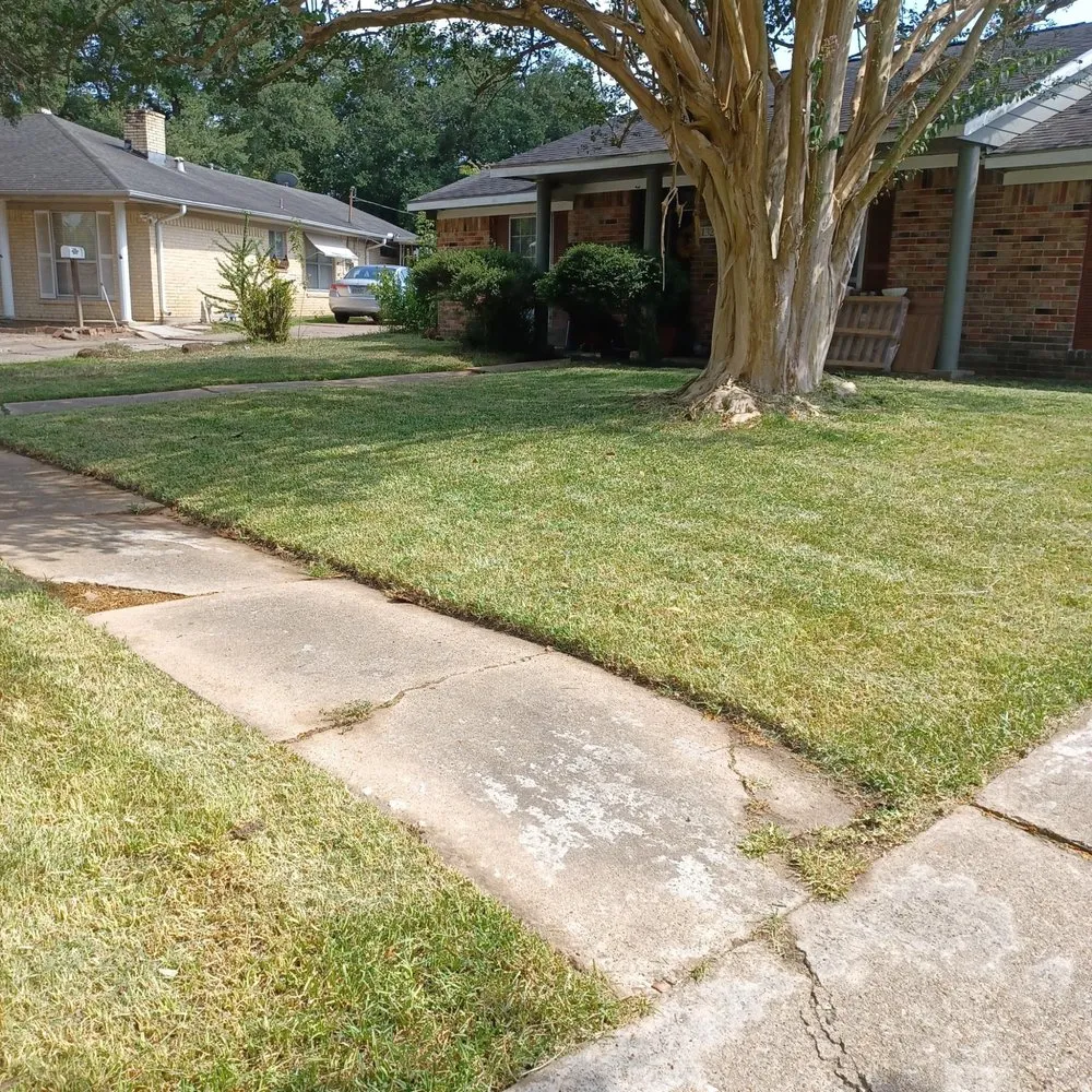 Affordable landscaping services with custom design in Pasadena, TX by Guevara landscaping