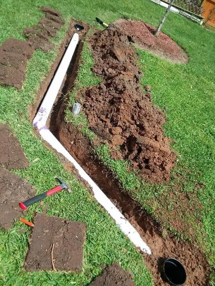 Top-rated residential landscaping experts serving Pasadena, TX - Guevara landscaping