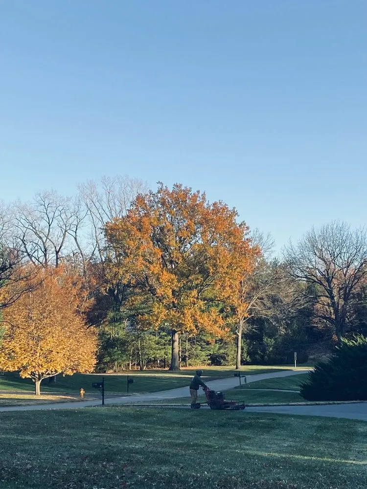 Trusted residential landscaping with custom design across Saint Ann, MO - Guevara's Landscaping STL