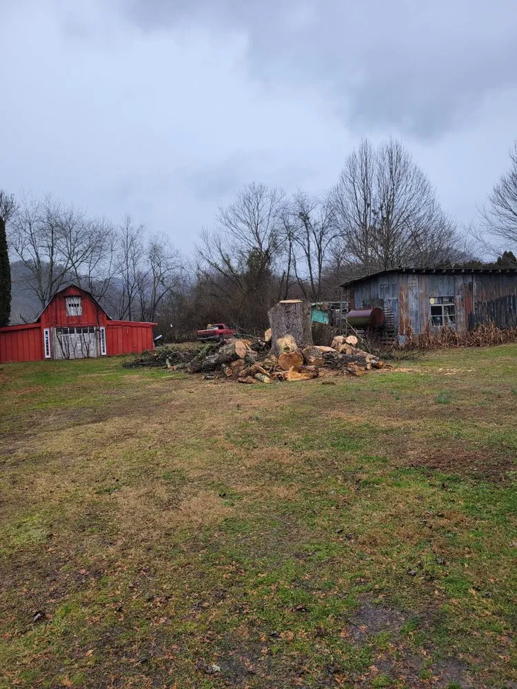 Local residential landscaping in Marble, NC by Guffey Tree Service