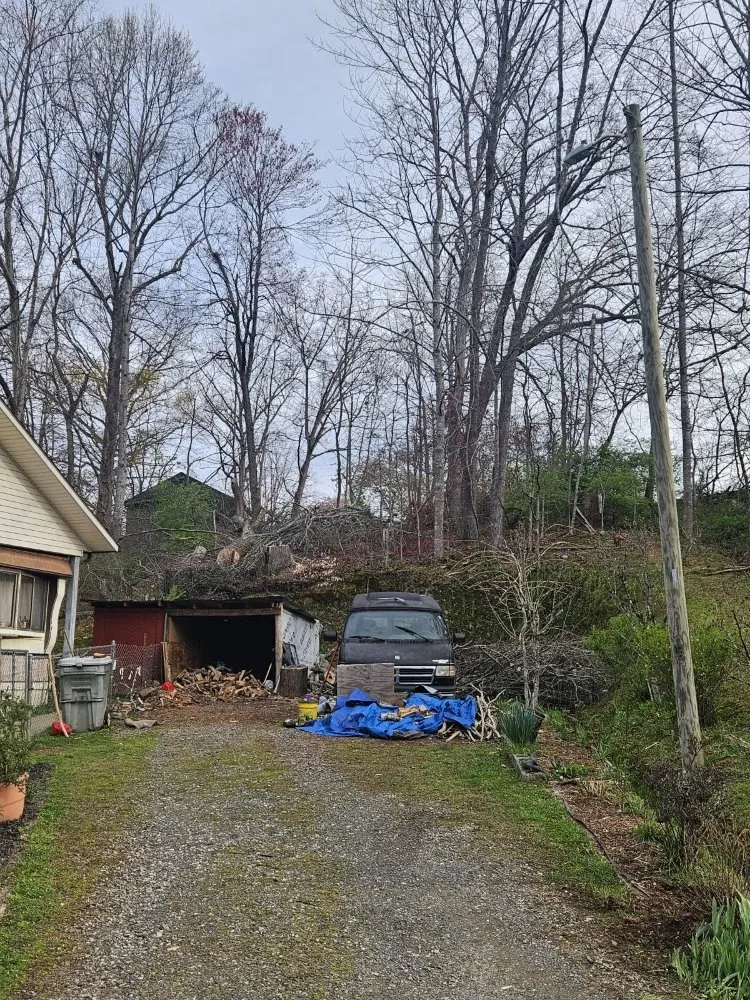 Expert landscaping services for residential properties in Marble, NC by Guffey Tree Service