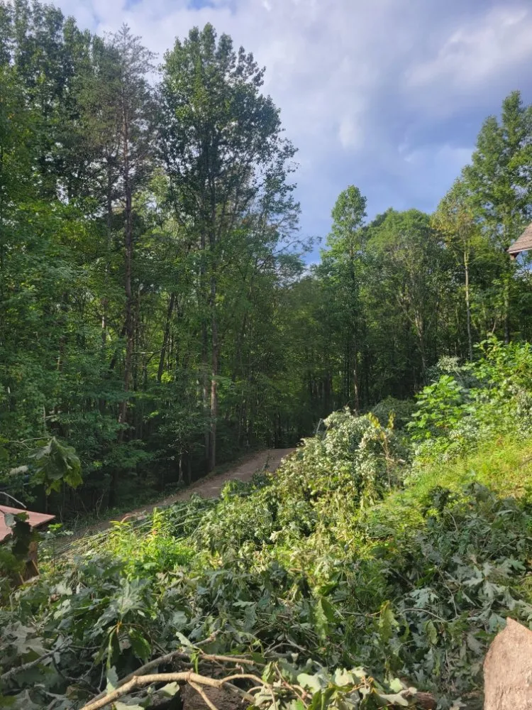 Top-rated landscape design for homes in Marble, NC by Guffey Tree Service