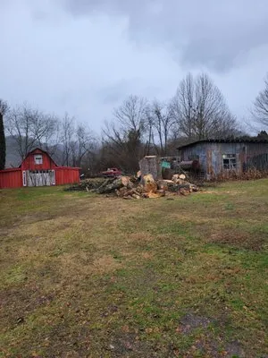 Guffey Tree Service