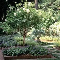 Trusted landscape installation for beautiful yards in Santa Ana, CA by Guichard Landscape