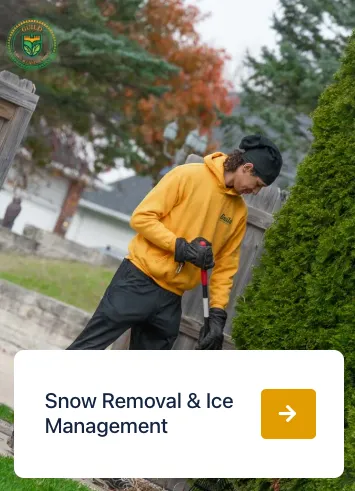 Affordable lawn mowing service in Marion, IA by Guild Lawn & Landscaping