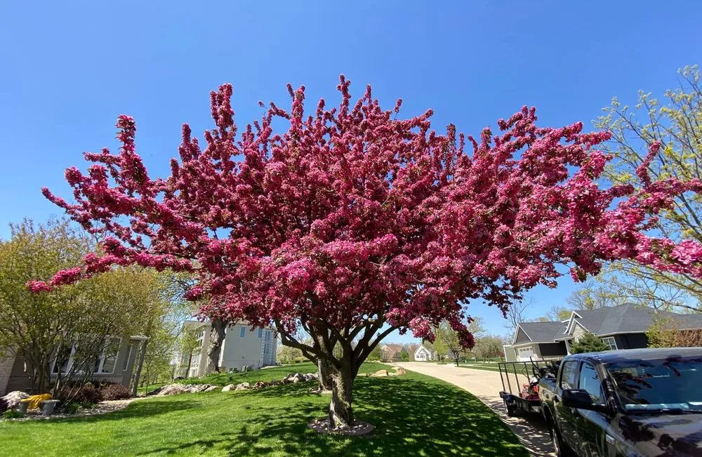 Local garden landscaping experts serving Marion, IA - Guild Lawn & Landscaping