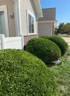 Trusted yard maintenance for beautiful yards across Marion, IA - Guild Lawn & Landscaping