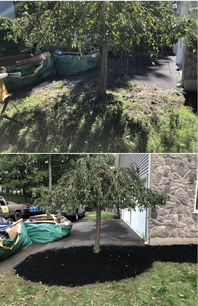 Expert yard cleanup service near you across Altamont, NY - GuilderGreen Landscaping