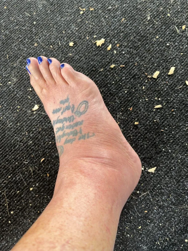 Reliable lawn care service experts serving Niagara Falls, NY - Guiliani Construction and Landscaping