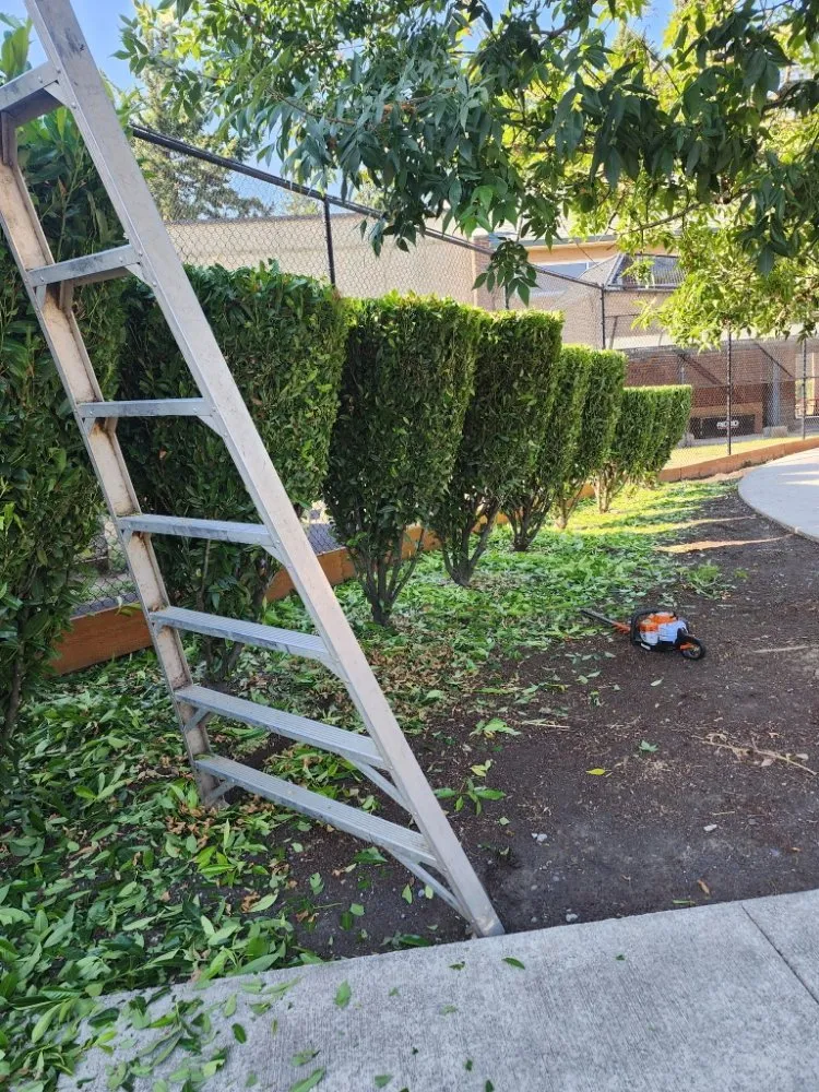 Custom landscape installation in Newberg, OR - Guillermo C S Landscaping Services