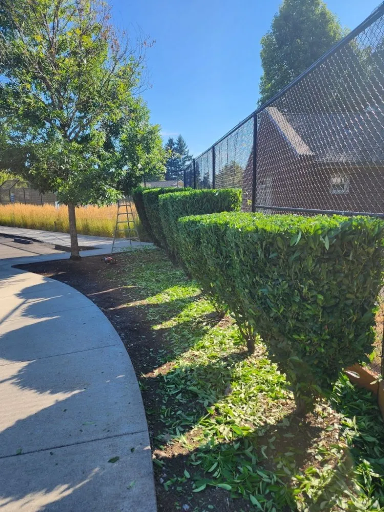 Top-rated garden landscaping experts serving Newberg, OR - Guillermo C S Landscaping Services