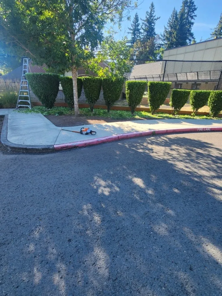 Local lawn care service for beautiful yards in Newberg, OR by Guillermo C S Landscaping Services