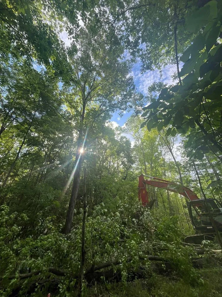 Affordable yard cleanup service with custom design in Laurens, SC by Guillermo Felipe Andres Landscaping