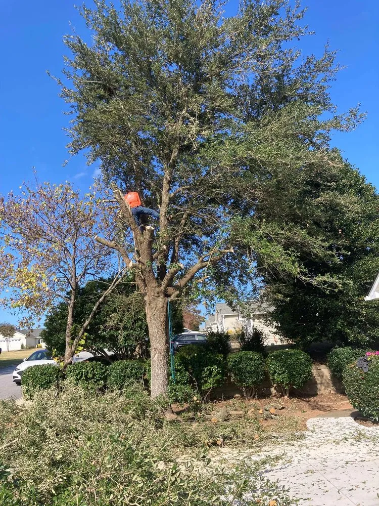 Custom landscape design near you across Laurens, SC - Guillermo Felipe Andres Landscaping