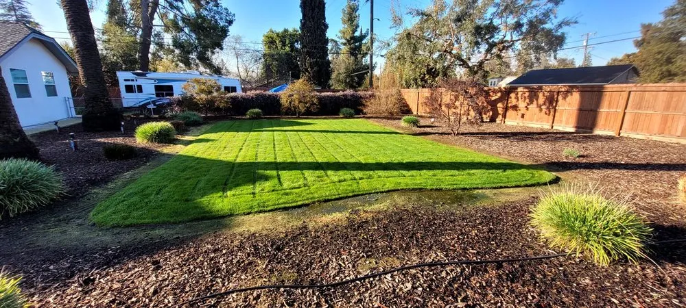 Local lawn mowing service experts serving Fresno, CA - Guillermo Mota Lawn Service