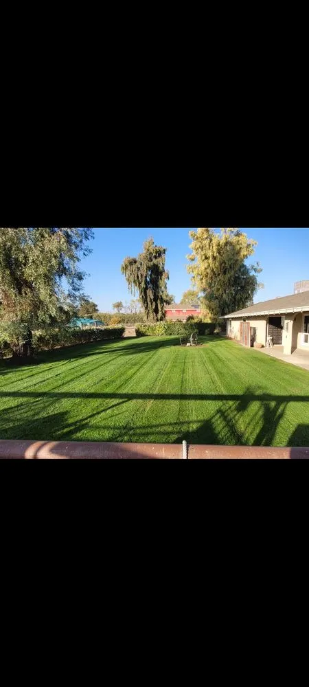 Expert residential landscaping for outdoor upgrades across Fresno, CA - Guillermo Mota Lawn Service