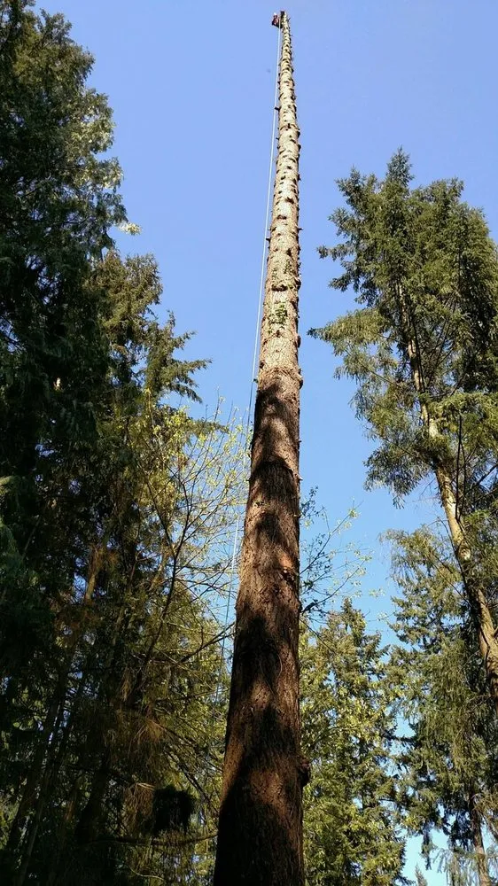 Custom landscape design in Everett, WA by Guillermo Pulido Landscaping & Tree Service