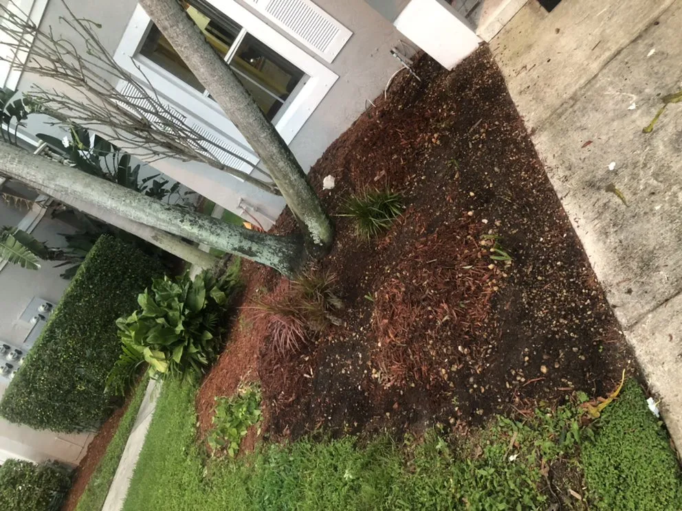 Trusted garden landscaping experts serving Miami, FL - Guillermo.l.landscaping