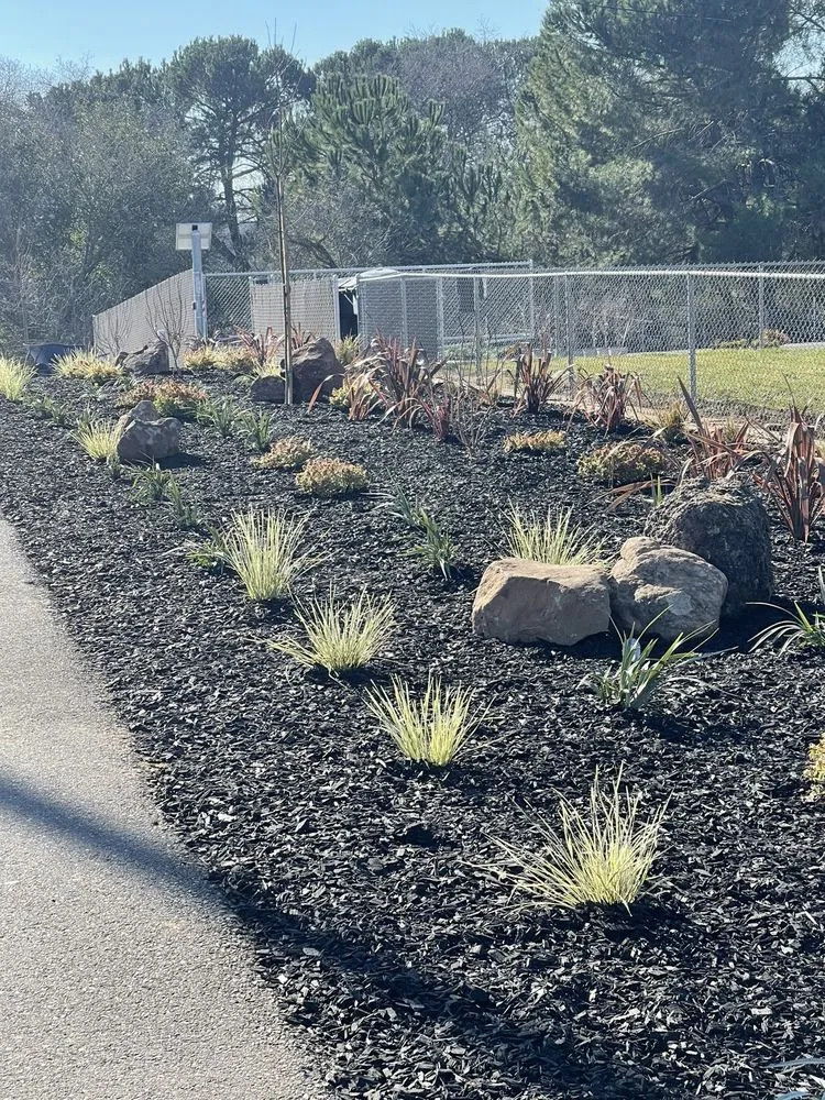 Trusted landscape installation in Sacramento, CA by Guillermo’s landscaping and lawn services