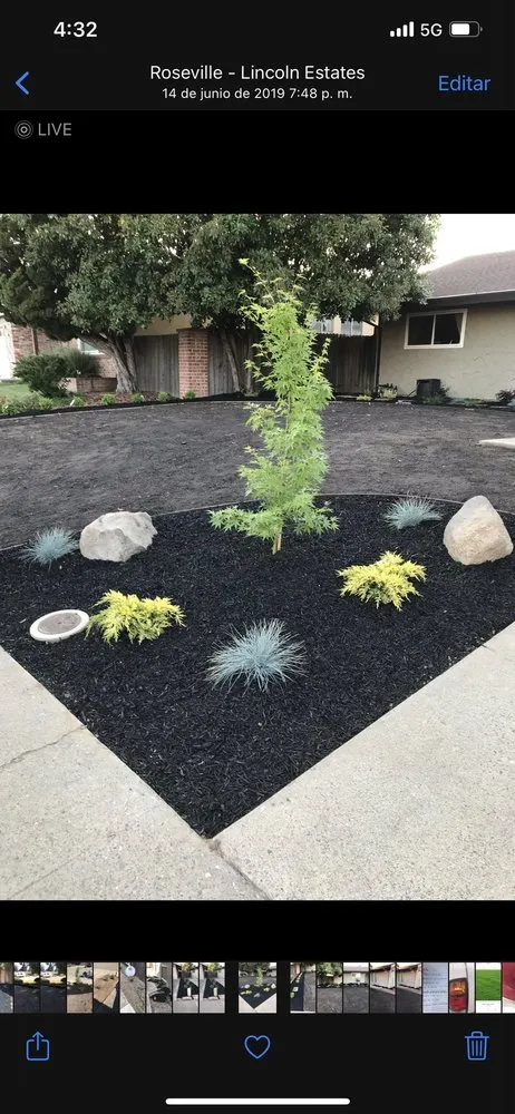 Expert lawn care service in Sacramento, CA - Guillermo’s landscaping and lawn services