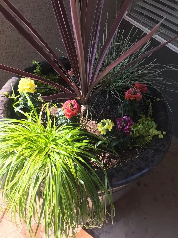 Professional lawn mowing service in Sacramento, CA by Guillermo’s landscaping and lawn services