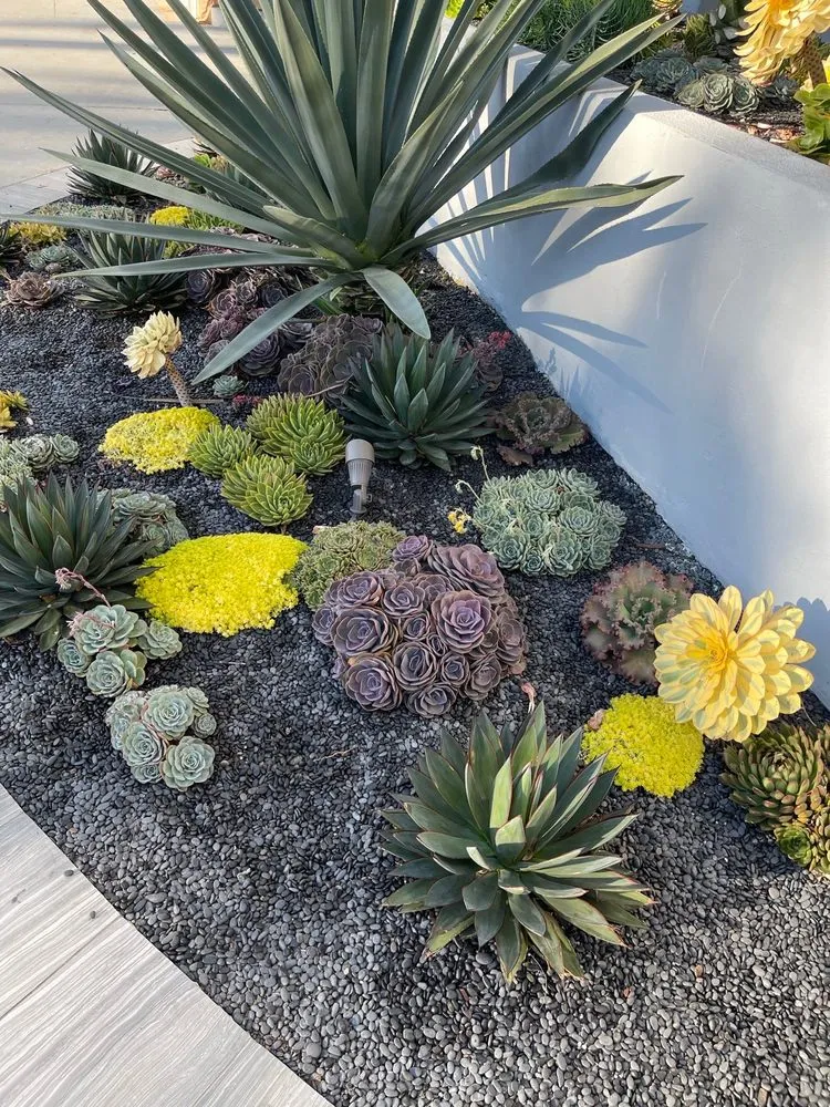 Top-rated landscape design for homes across Sacramento, CA - Guillermo’s landscaping and lawn services