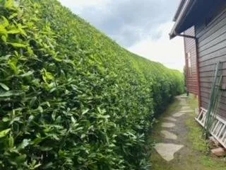 Professional outdoor landscaping with custom design in Kingston, WA by Guillermo's Landscaping