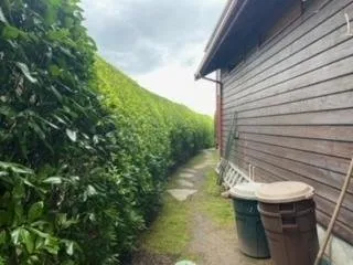 Trusted lawn care service in Kingston, WA - Guillermo's Landscaping